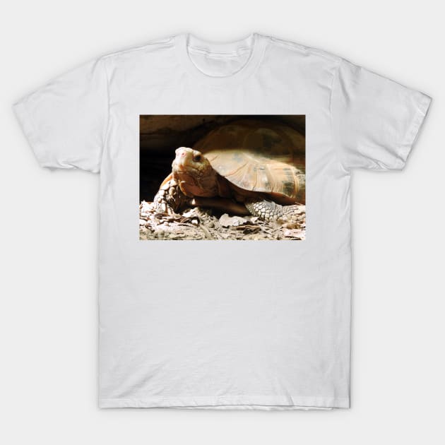 Elongated Tortoise T-Shirt by kirstybush
